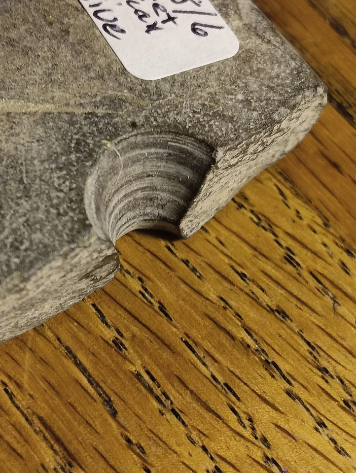 Native American Drilled Hole Broken Intentionally By Native Americans Ritual - Image 2 of 4