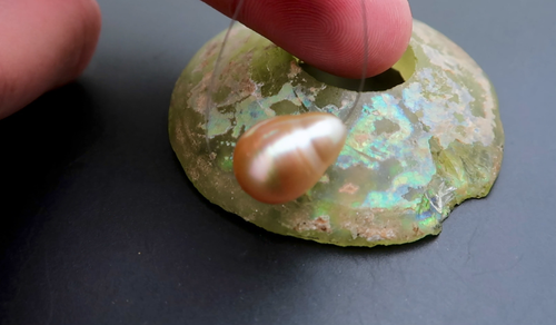 ALL NEW EXOTIC GENUINE METALLIC GOLD SOUTH SEA CULTURED AA+ PEARL 11.9x16.7mm - Video 1 of 1