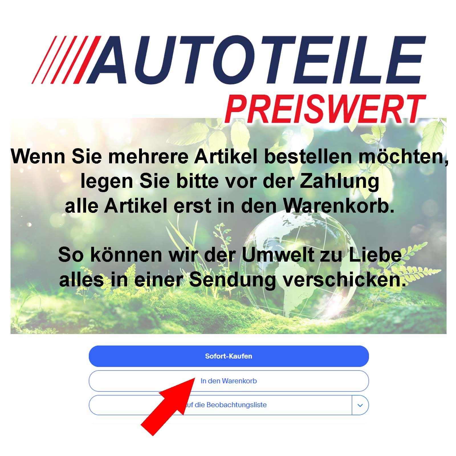 Bild 7 von 7