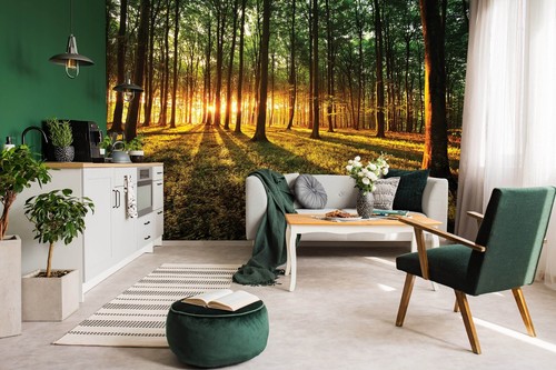 Forest Wallpaper Office Wall Mural 12x8.33 Ft green giant sunny bedroom decor - Picture 8 of 10