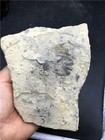 Foto 5 di 10
