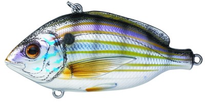 Live Target Saltwater Pinfish Crankbait Lipless Rattle Trap PF95SK901 Matte 3.75