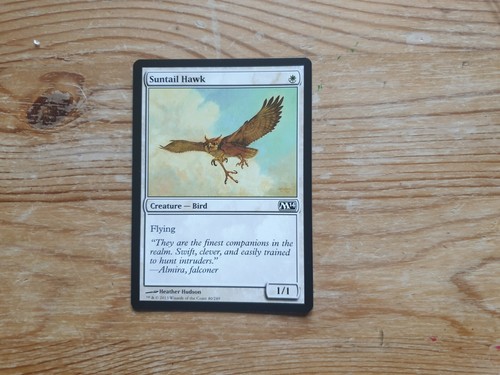 MTG: M14 2014 Core Set Trading Card Singles Magic: The Gathering - Bild 23 von 112