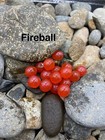 Bild 14 von 51