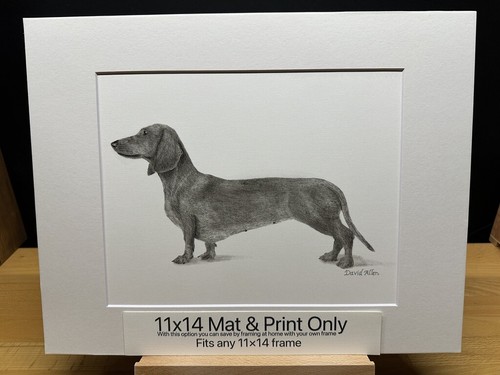 Drawing of a Red Standard Dachshund Dog Female Graphite Pencil Sketch Picture - Picture 5 of 18