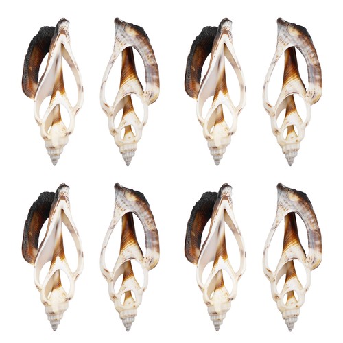 4 PIEZAS Cáscara de caracola hueca 4-5 cm Cáscara en rodajas Decoración Adorno Embellecimiento Artesanías - Imagen 9 de 9