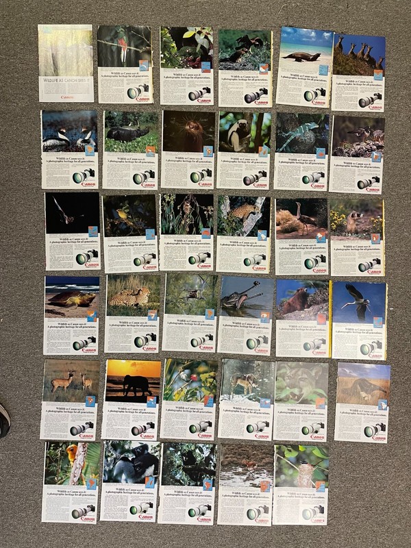 Wildlife as Canon Sees It  Print Ads Lot of 35 - 1980's  10 x 7 - Camera FD