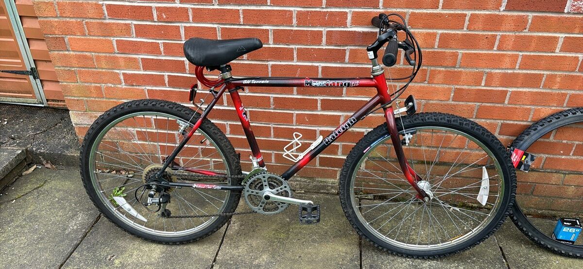 Raleigh mustang mountain bike deals