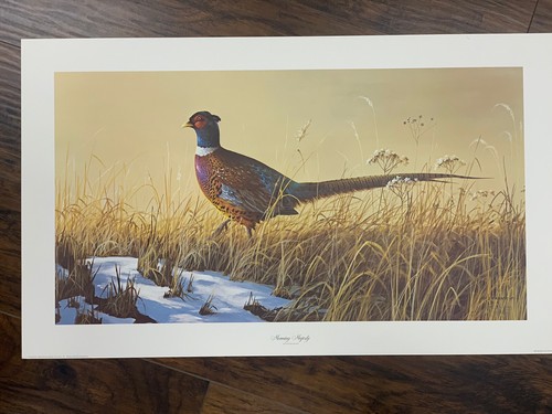 Morning Majesty Kunstdruck signiert Lynn Kaatz 428/600 Vogel 19x32 - Bild 1 von 4