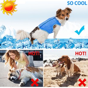 Small-Medium-Large-Dog-Cooling-Vest-Coat-Jacket-Swamp-Cooler-for-Pet-Dogs-Cat