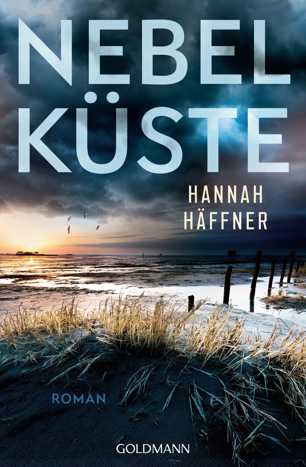 Thumbnail - Nebelküste Hannah Häffner