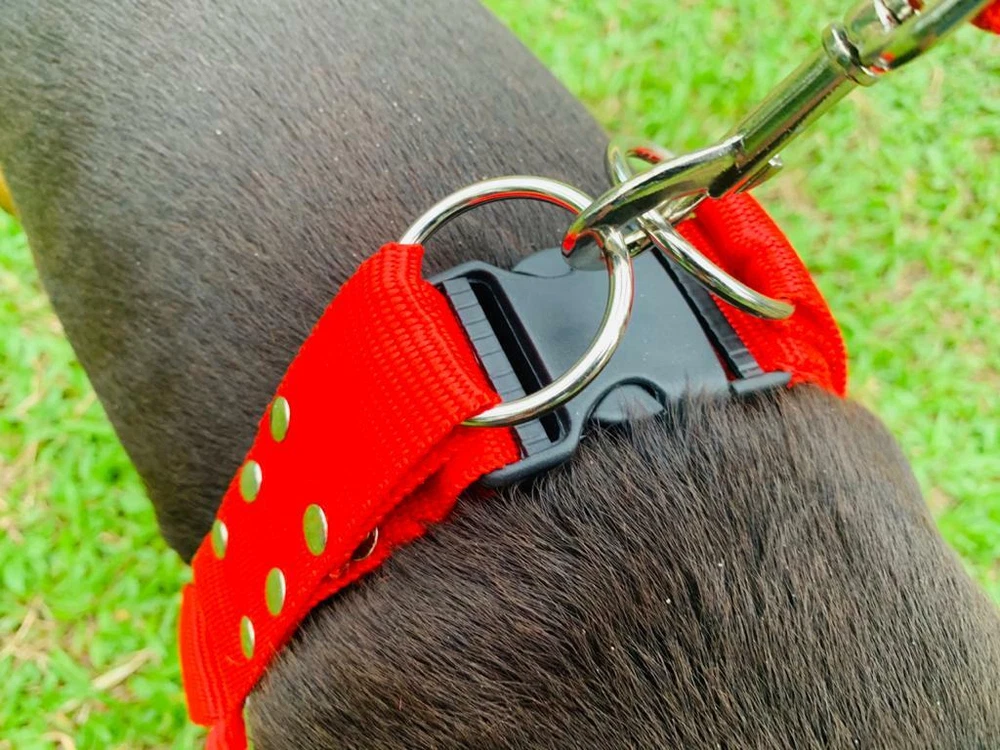 Dog Harness Pet New Nylon Durable Reflective Adventure Outdoor Safety Adjustable