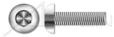 AISI 304 Stainless Steel #6-32 X 1//4 18-8 Flat Socket Cap Screws 150pcs Hex Socket Drive