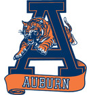 Auburn University Tigers sticker logo Ncaa weatherproof bumper vinyl decal