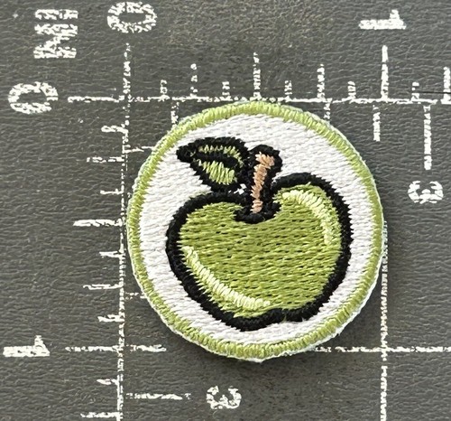Awana Clubs Cubbies Green Apple Emblem Scouts Christian Youth Award Patch Badge - Picture 2 of 10