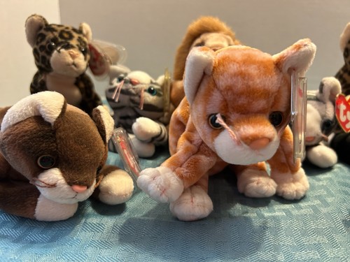 TY BEANIE BABYS KÄTZCHEN UND KATZEN MIT ETIKETT VINTAGE 11 STÜCK - Bild 7 von 7