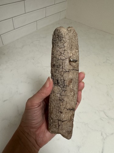 Vintage Signed Boho Cottage Hand painted Mushrooms On Drift Wood 70s Wall Decor - Picture 3 of 7