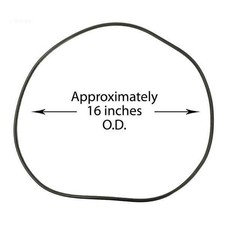 Waterway O-Ring for Clearwater II Tank Lid 805-0460