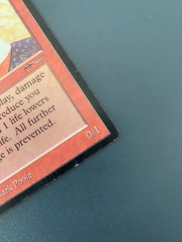 Ali from Cairo Arabian Nights Regular - Picture 4 of 6