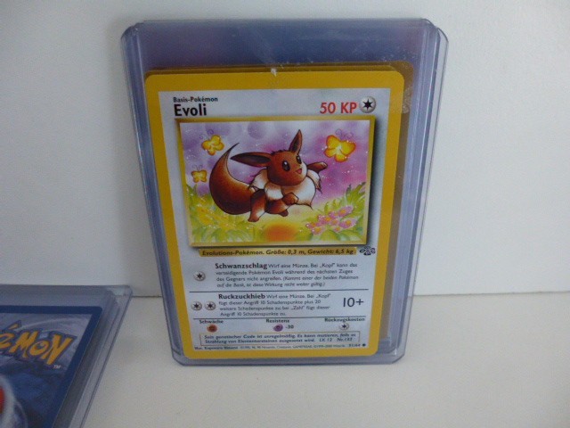 Bild 6 von 10