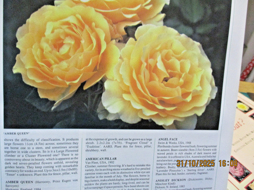 Peter Harkness THE PHOTOGRAPHIC ENCYLOPEDIA OF ROSES  HCDJ - Picture 9 of 14