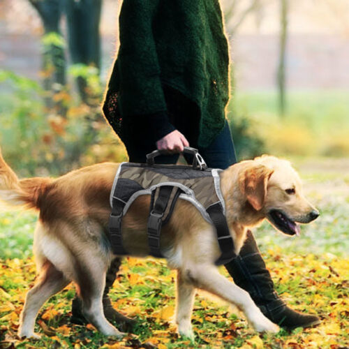 Poitrine de Sport harnais pour chien moyen à grand réfléchissant Gilet Souple - Picture 11 of 14