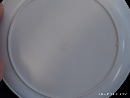 "Pre-Owned" Vtg. Set of 4 Melmac Dinnerware 8201-10 Melamine Plates. Rose Patter - Bild 3 von 9