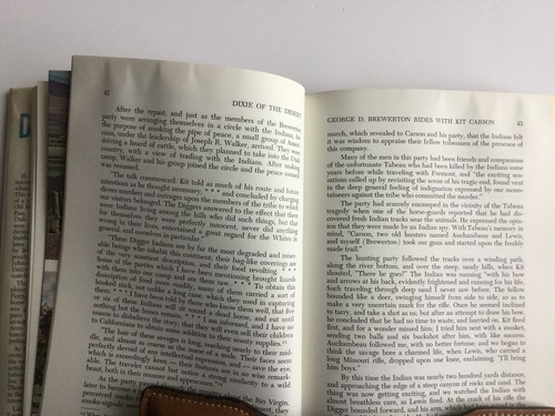 Dixie Of The Desert Reid 1964 1St Edition Illustrated - Imagen 7 de 8