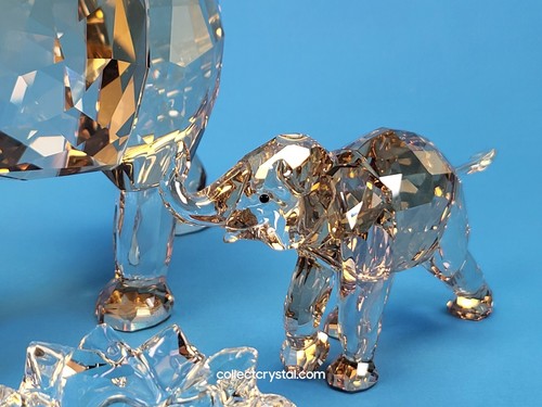 Swarovski SCS 2013 Young Elephant # 1142862 - Picture 8 of 11