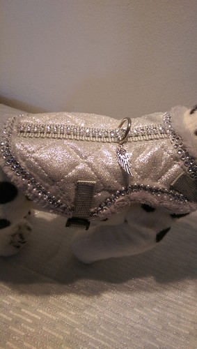Softgeschirr warm gefüttert Brustgeschirr Hundegeschirr silbergrau Halsband XS-M - Bild 21 von 29