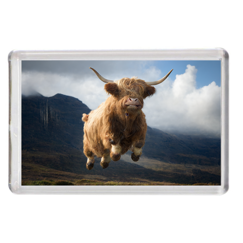 Imán de nevera recuerdo Escocia Scottish Highlands vaca Highland Coo 80 mm x 50 mm - Imagen 2 de 13