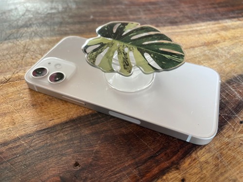 Rare Plant/Leaf Phone Grip ✨ - Picture 89 of 110