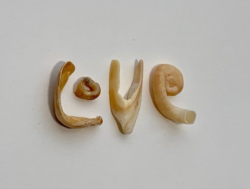 Concha de playa en forma de letra natural "Amor" arte de palabras/artesanía conchas marinas aniversario EE. UU. - Imagen 10 de 11