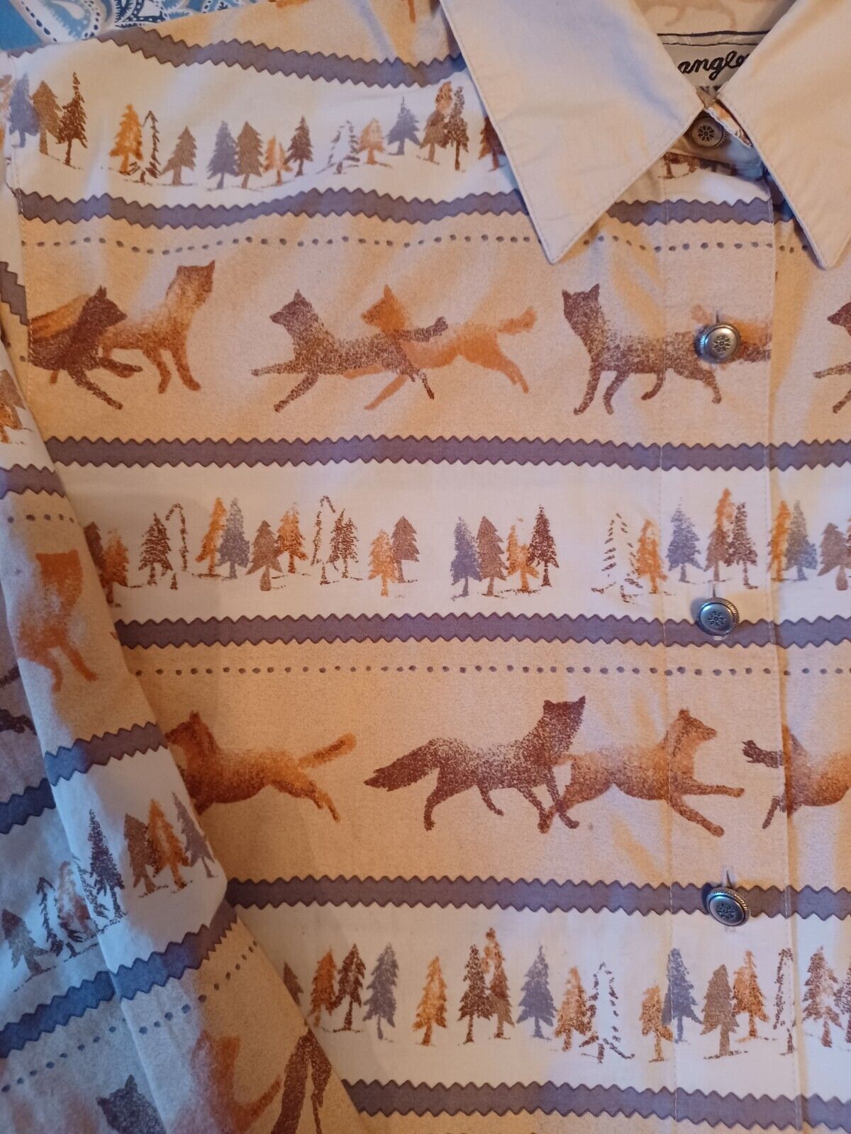 Picture 2 of 5