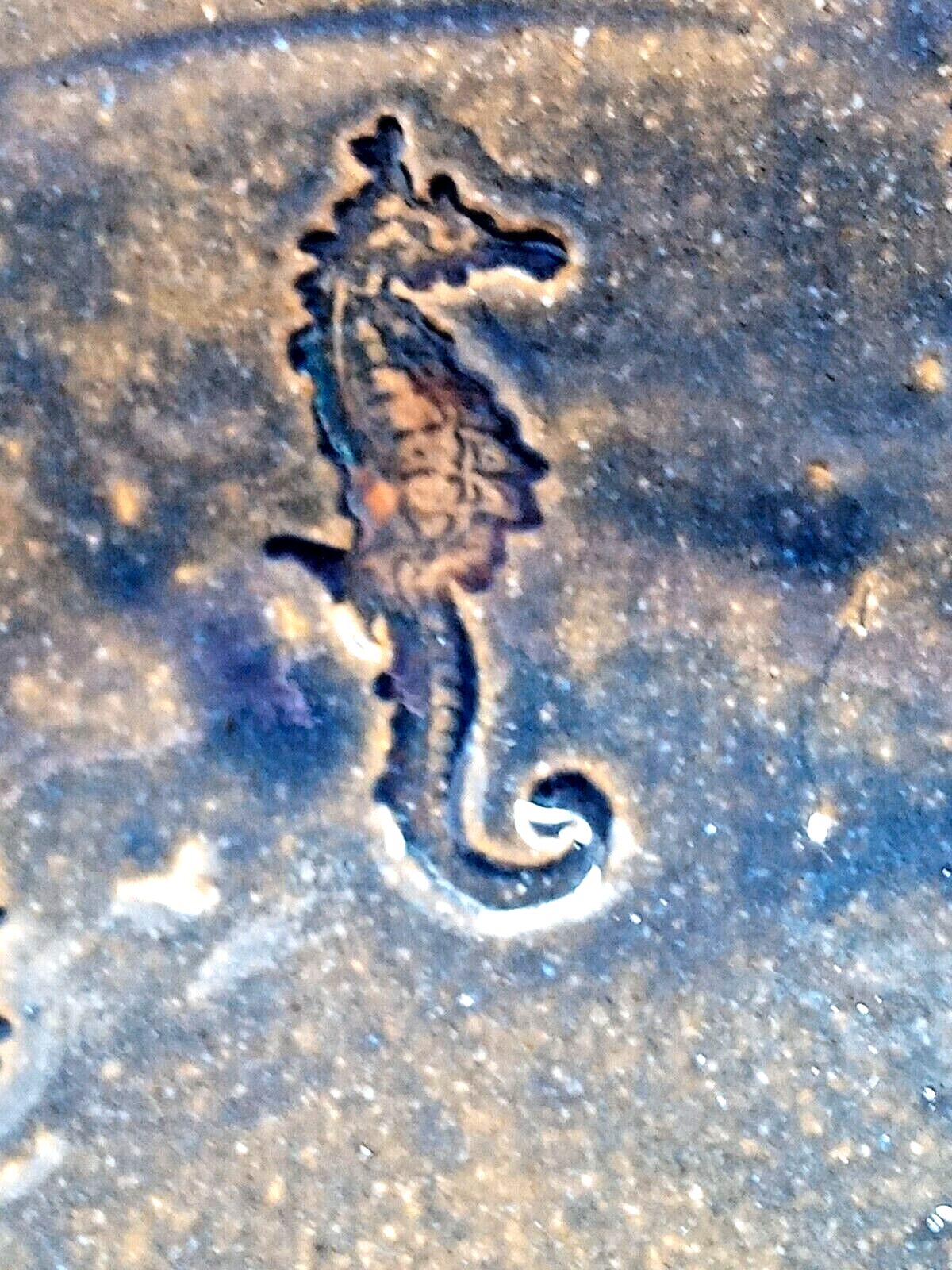 Picture 5 of 11