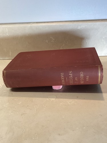 1893 "The Origin of Species by Charles Darwin" 6th Edition two volumes in one - Picture 20 of 20
