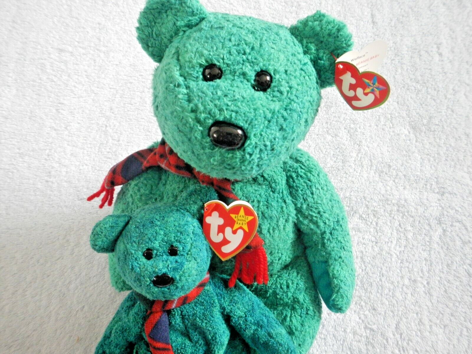 Foto 12 di 12