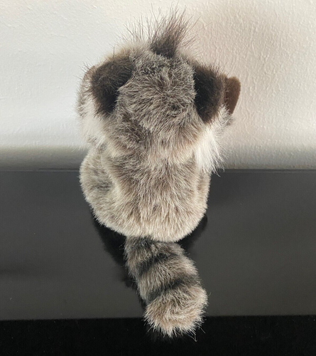 Peluche LaZBoy Raccoon 7" - Ottime condizioni - Foto 3 di 6