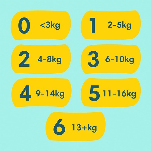 Pampers Baby Windeln Größe 5 (11-16kg) Premium Protection, Junior, MONATSBOX - Bild 12 von 12