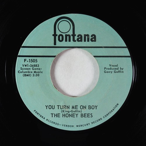 Northern Soul Girl Group 45 - Honey Bees - You Turn Me On Boy - Fontana VG+