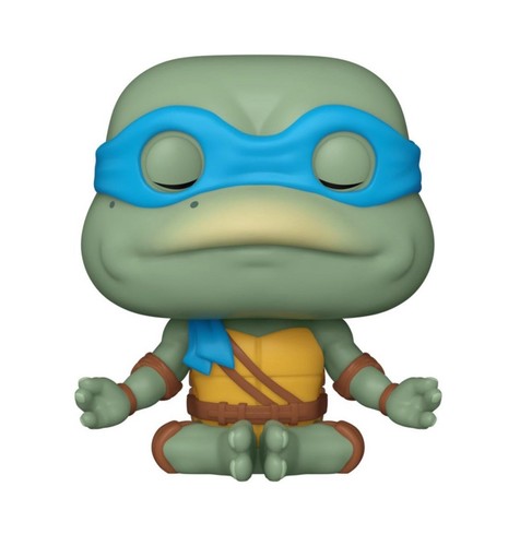 Funko Pop! TMNT Donatello Leonardo Michelangelo Raphael Set of 4! NEW In Hand - Picture 2 of 24