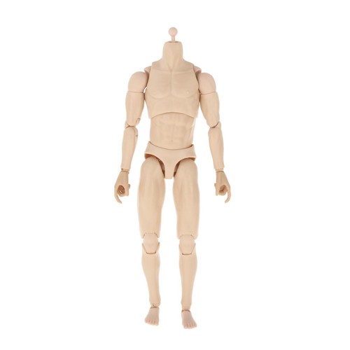 Collectible 1/6 Scale Male Figures Model Naked Body 12 Inch Narrow Shoulders - Bild 22 von 30