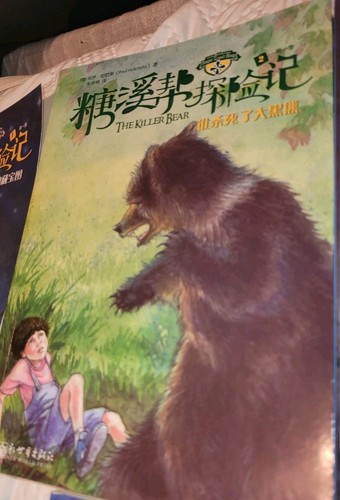 Sugar Creek Gang 1 - 18 Books Chinese Language Paul Hutchens Paperback Mysteries - Picture 19 of 21