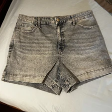 RM by Rebecca Minkoff Shorts Women's 90's Style Size 14 Light Wash High Rise