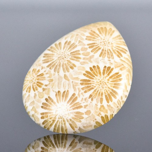 Rare Natural Agatized Fossil Coral Cabochon with Flower Pattern Indonesia 5.00g - Picture 5 of 14