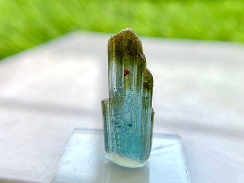 Premium Terminated Natural Indicolite Tourmaline Crystal  3 Grams 27x11x7 - Picture 6 of 6