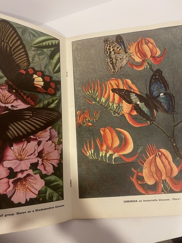 Vint 1960s How To Paint Exotic Butterflies&Moths by Ralph Coventry Art Book #82 - Imagen 3 de 4