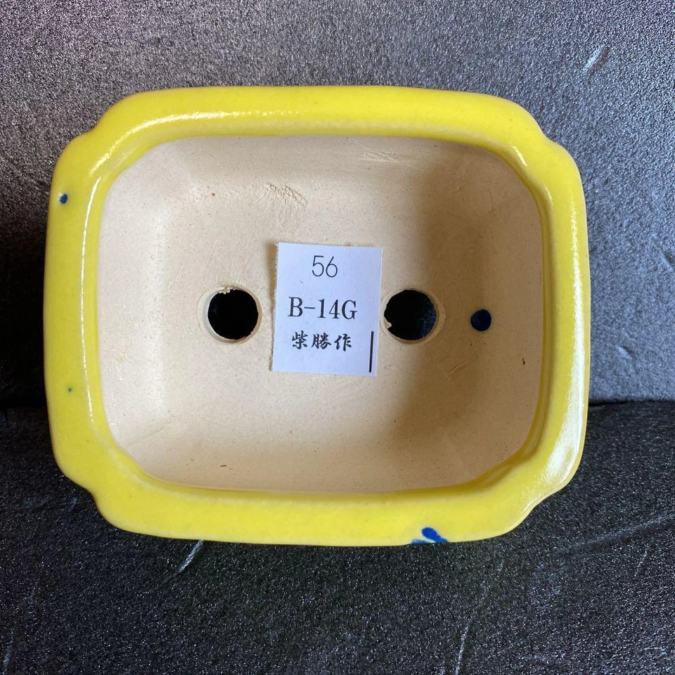 Japanese Bonsai pot TOKONAME Yellow glazed Rectangular Mini W7.3cm SHIBAKATSU - Image 4 of 4