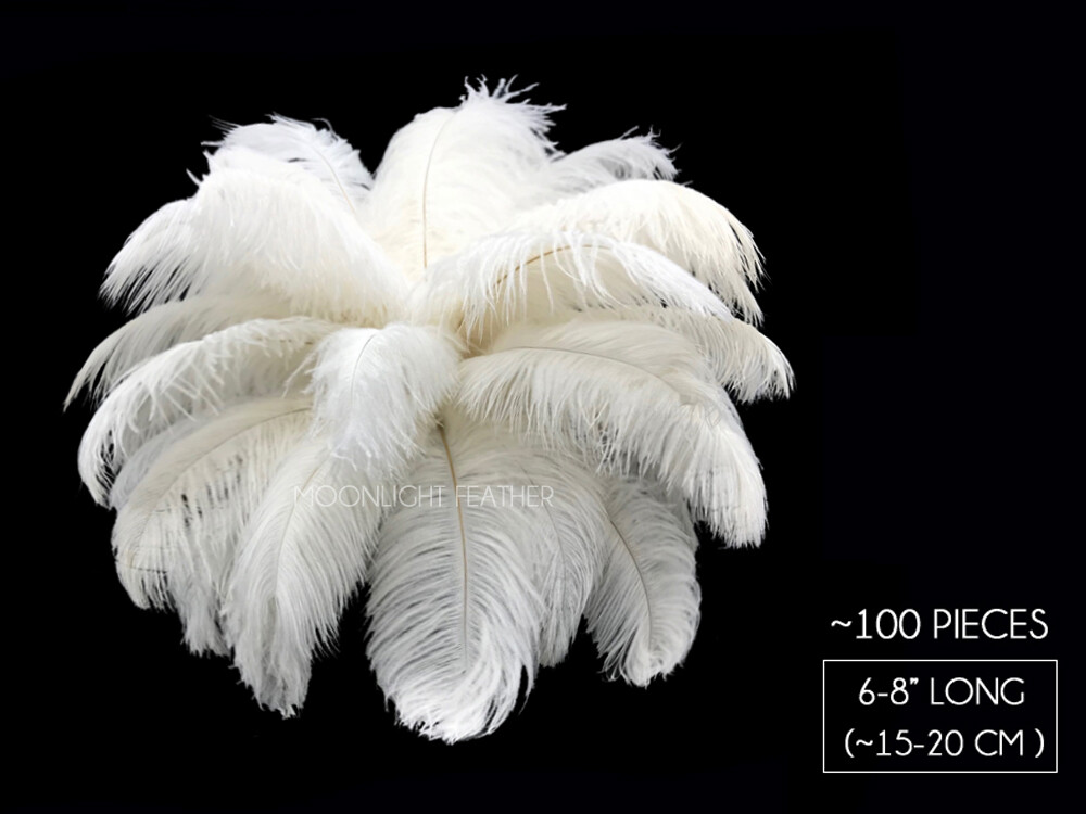100 ostrich feathers discount
