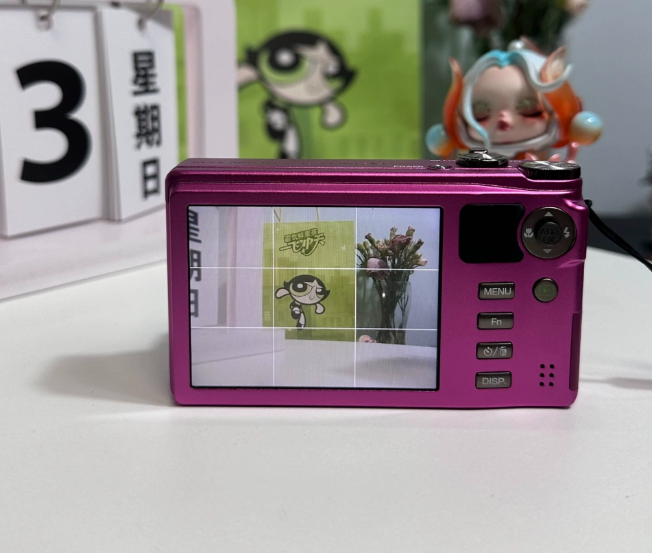 RICOH Digital Camera CX4 CMOS Optical 10.7x Zoom Wide Angle RICOH Digital Camera CX4 CMOS Optical 10.7x Zoom Wide Angle
